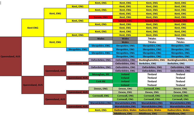 How to use color-coding in genealogical research