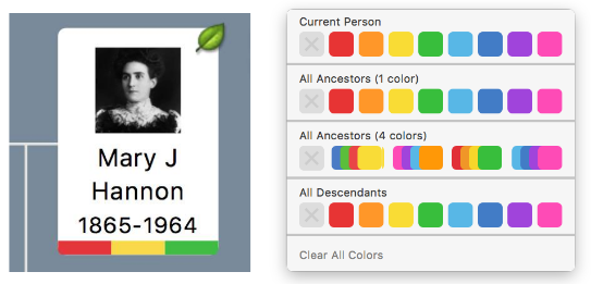 How to use color-coding in genealogical research