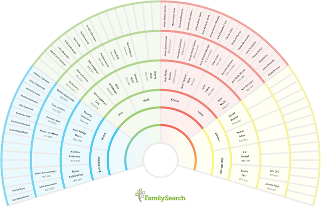 Reading Genealogy Charts - DNA Family Tree by Super Slick Science